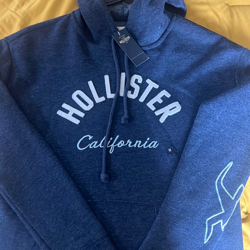 Hollister Sweater